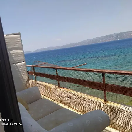 House Next To The Sea *